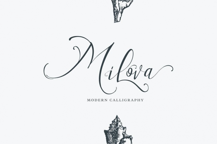 Milova Script Font Download