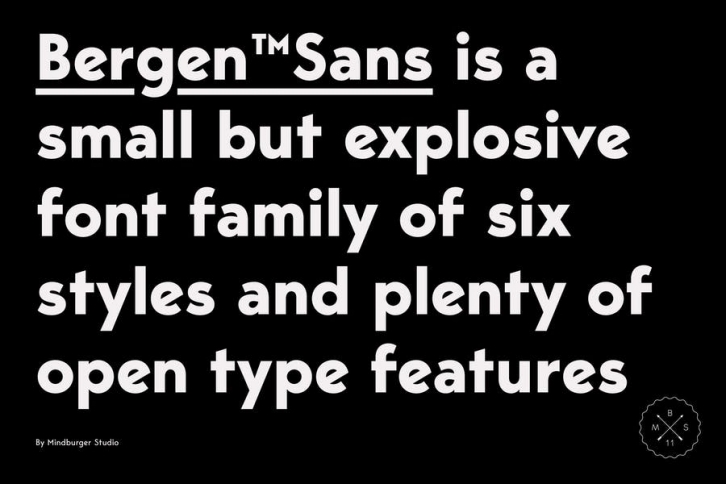 Bergen Sans Font Download