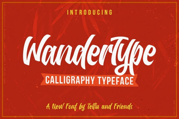 WanderType Font Download