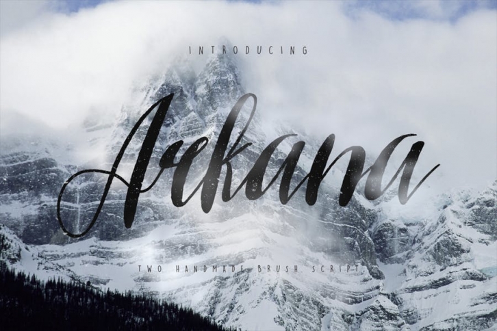 Arkana Script Typeface Font Download