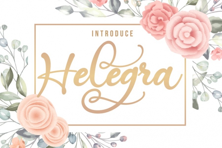Helegra | Beauty Font Script Font Download