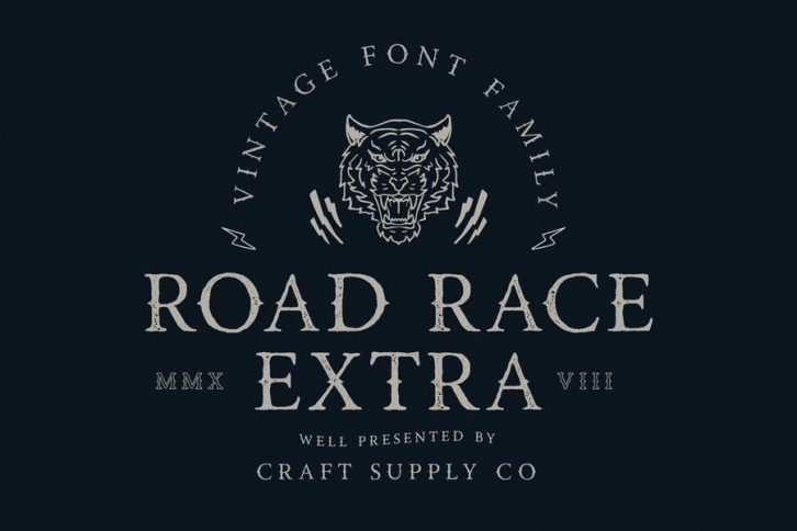 Road Race Extra Font Family Font Download