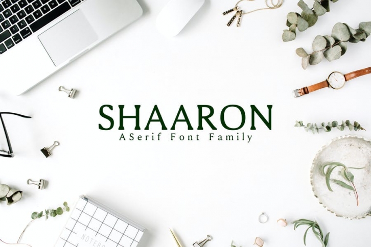 Shaaron A New Serif Font Family Font Download