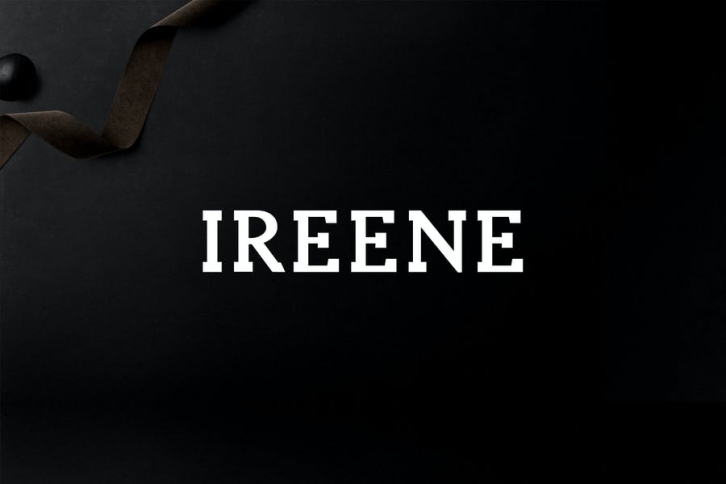Ireene Serif 3 Font Family Pack Font Download