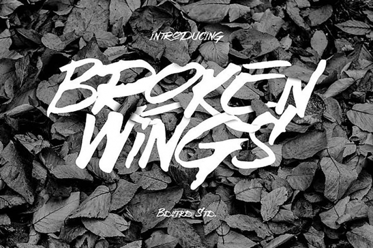 Broken Wings Font Download