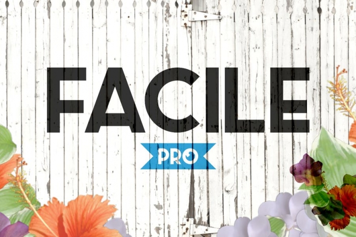 Facile Pro Font Download