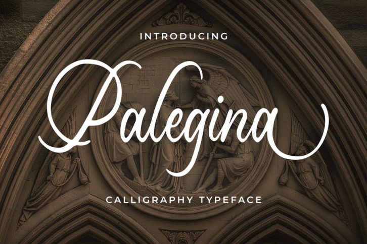 Palegina - Calligraphy Typeface Font Download