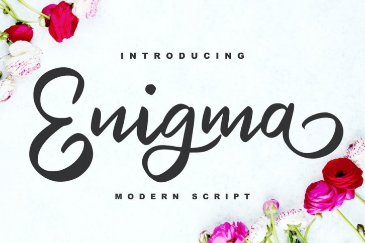 Enigma | Modern Script Font Font Download