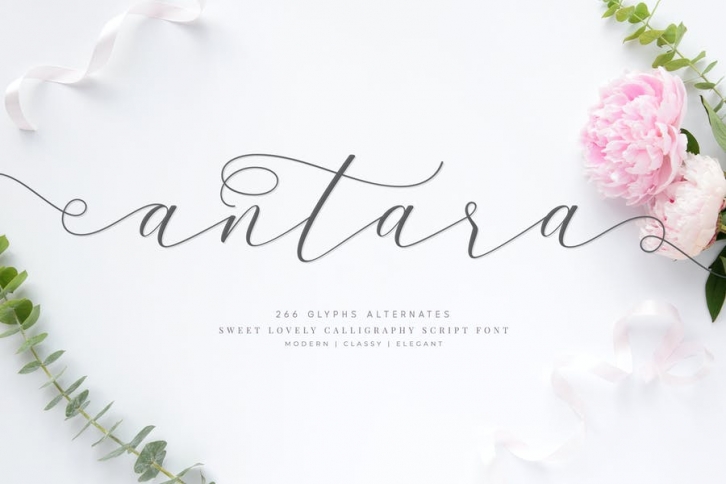 antara script font Font Download