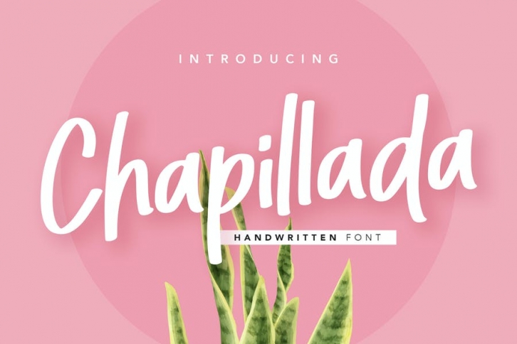 Chapillada Display Font Font Download