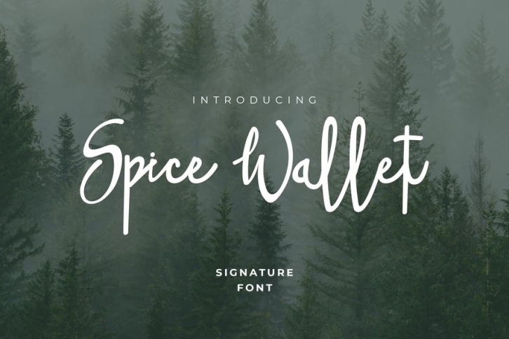 Spice Wallet Handwritten Style Font Download