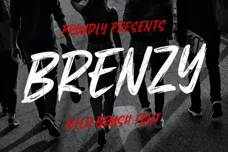 Brenzy - Wild Brush Font Font Download