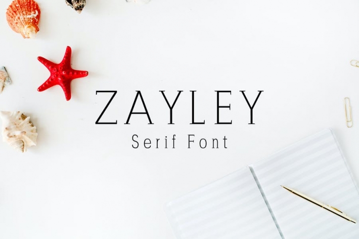 Zayley Serif Regular Font Font Download