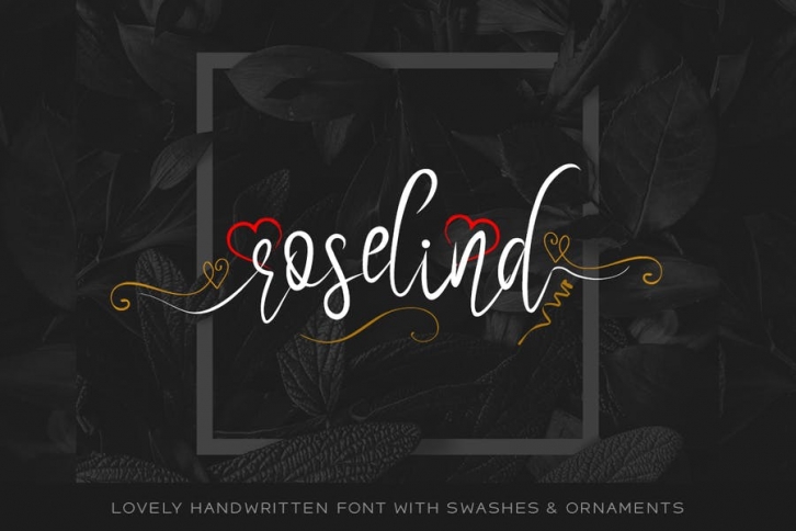 Roselind Handwritten Font with Swashes & Ornaments Font Download