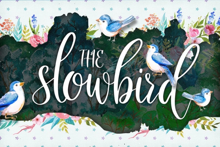 The Slowbird - Typeface Font Download