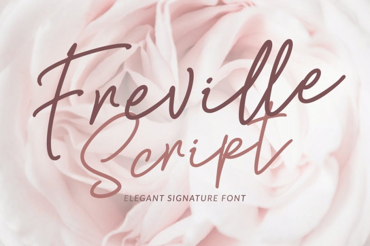 Freville Script Font Download