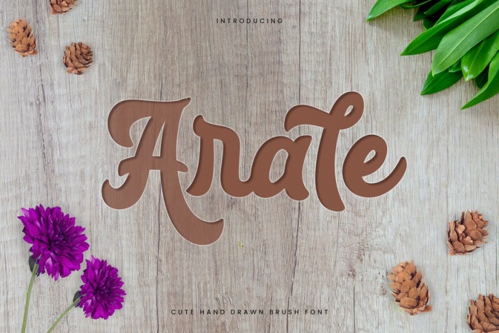 Arale - Bold Beauty Script Font Font Download