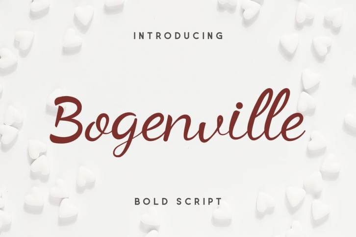 Bogenville Script Font Font Download