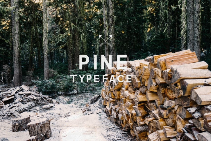 Pine Font Font Download