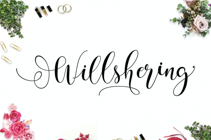 Willshering Script Font Download
