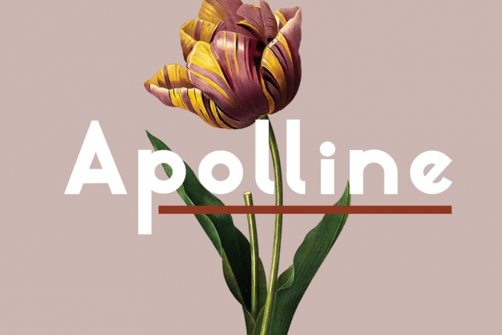 Apolline | Sans Serif Font Font Download
