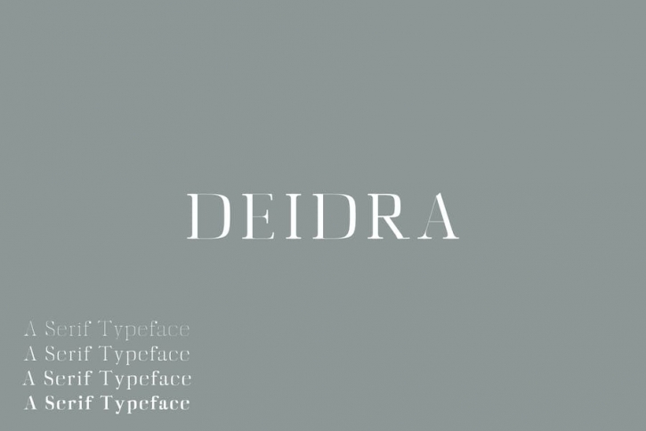 Diedra Serif Font Family Pack Font Download