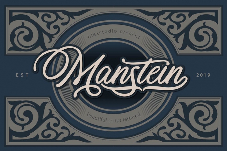 MANSTEIN - Handwritten script Font Download