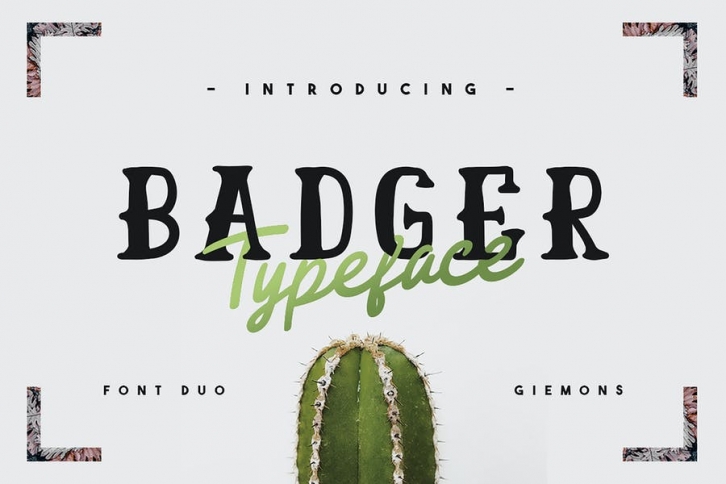 Badger Typeface Font Download