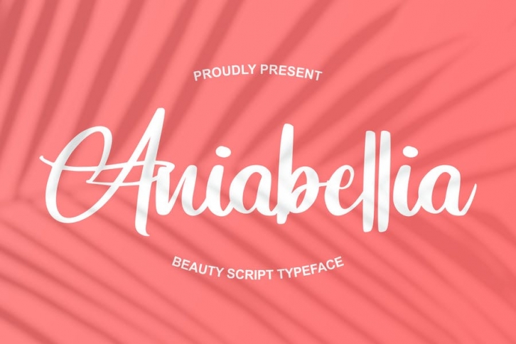 Aniabellia | Beauty Script Typeface Font Download