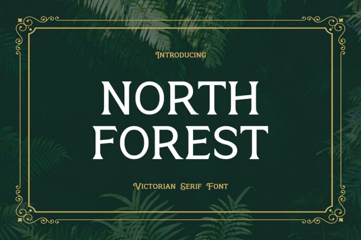 North Forest Vintage Serif Font Font Download