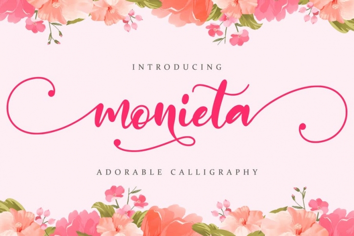 Monieta - Adorable Script Font Download