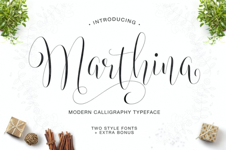 Marthina Script - Two Style Font Download