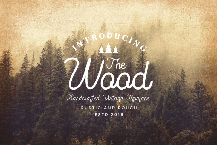 The Wood - Vintage Monoline Script Font Download