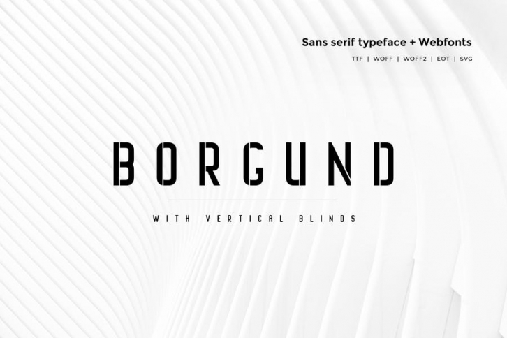 Borgund Blinds - Modern Typeface + WebFont Font Download