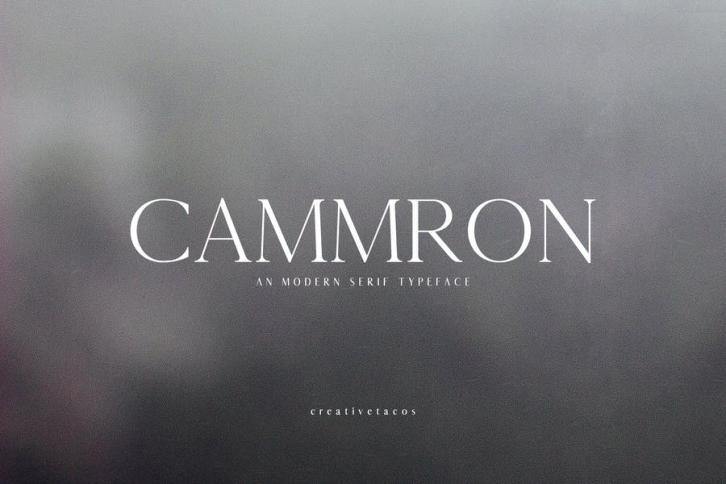 Cammron Serif Font Family Font Download