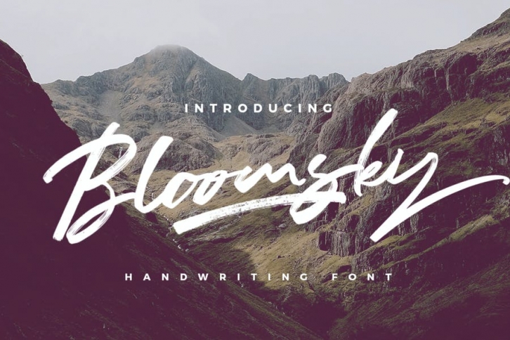 Bloomsky - Signature Logotype Brush Font Download