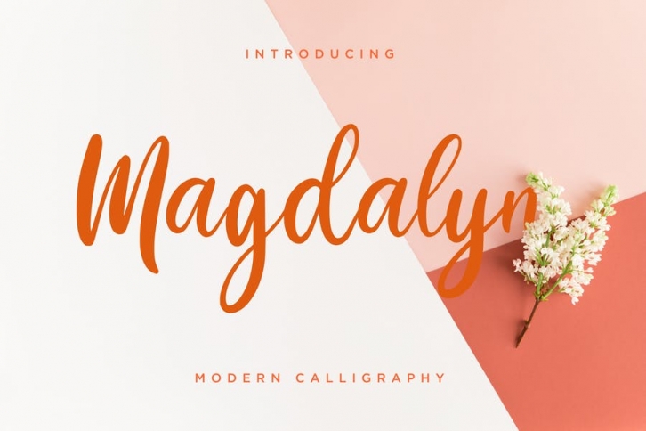 Magdalyn Modern Calligraphy Font Download