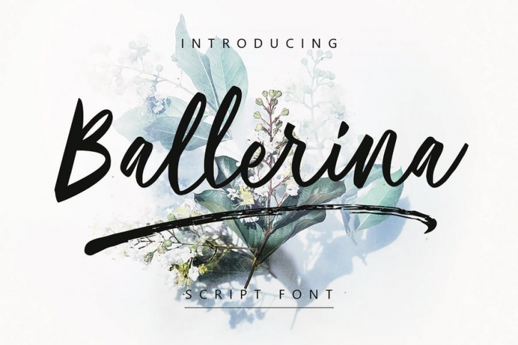 Ballerina | Script Font MS Font Download