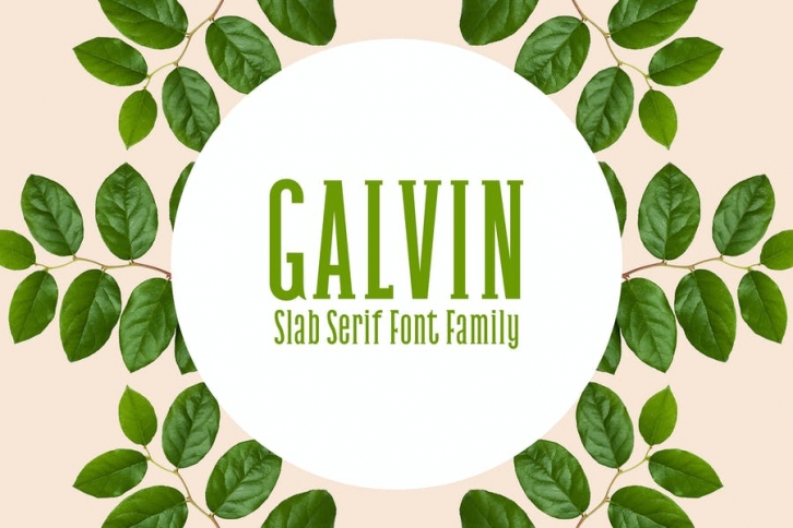 Galvin Slab Serif Font Family Pack Font Download
