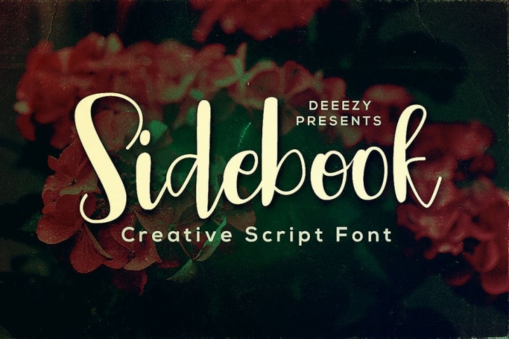 Sidebook Script Font Font Download