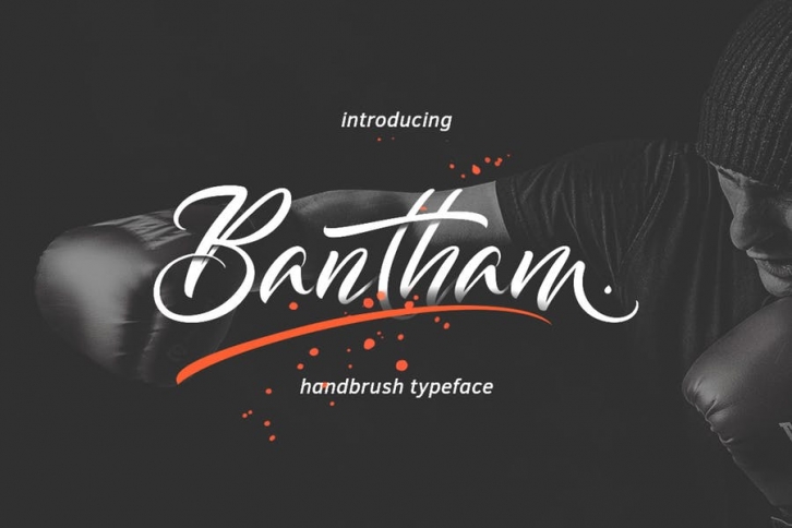 Bantham Typeface Font Download