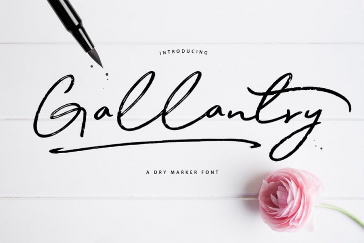Gallantry Dry Marker Font Font Download