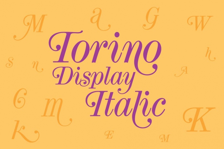 Torino Display Italic Font Download