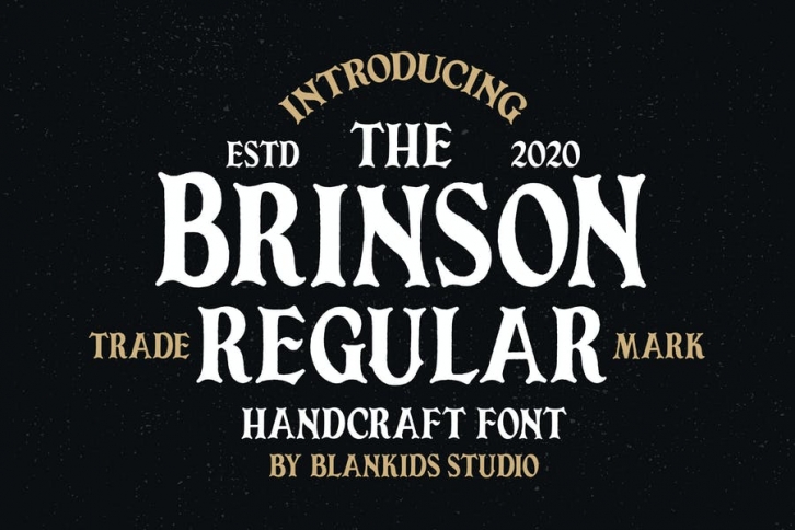 Brinson Regular - Vintage Serif Font Font Download