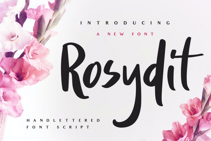 Rosydit - Handlettered Script Font Font Download
