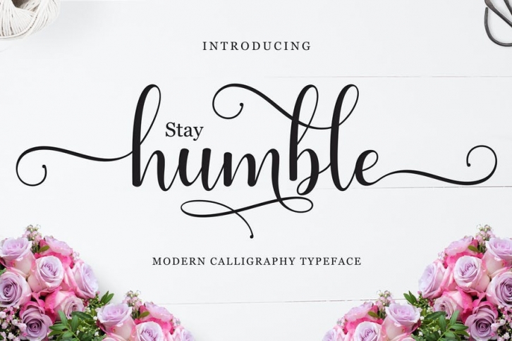 Humble Script Font Download