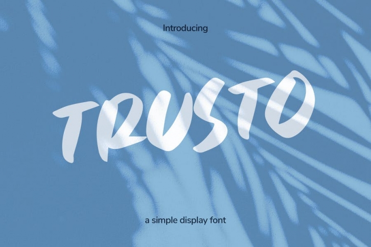 Trusto - Casual Display Font Font Download