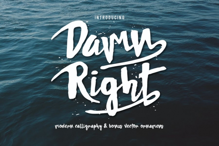 Damnright Typeface Font Download