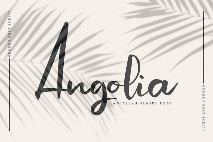 Angolia Script Font Font Download