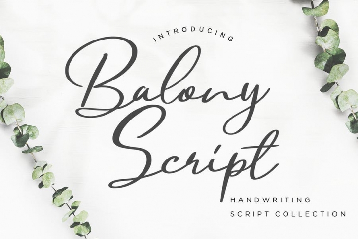 Balony Script Handwriting Font Download